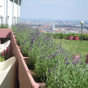 Palace Hostel